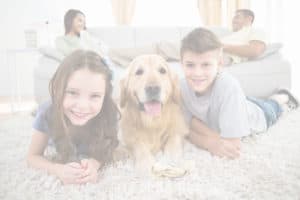 family in clean house