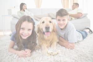 family in clean house