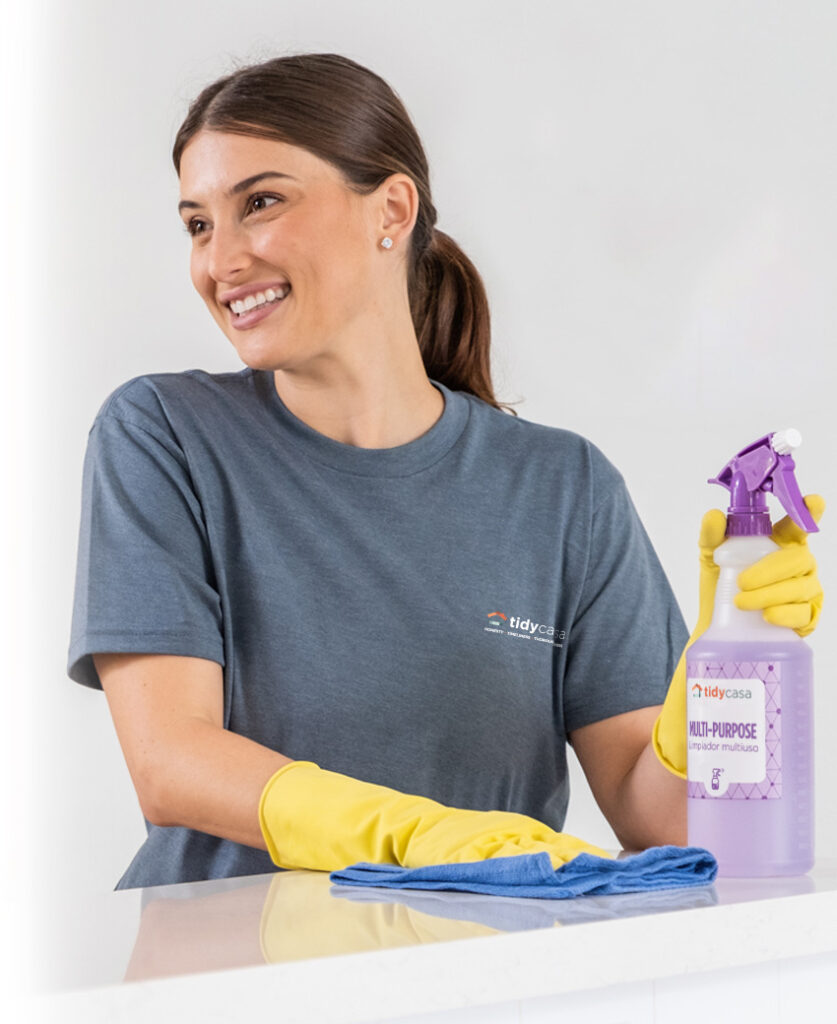 Home Cleaner Cleaning Countertop