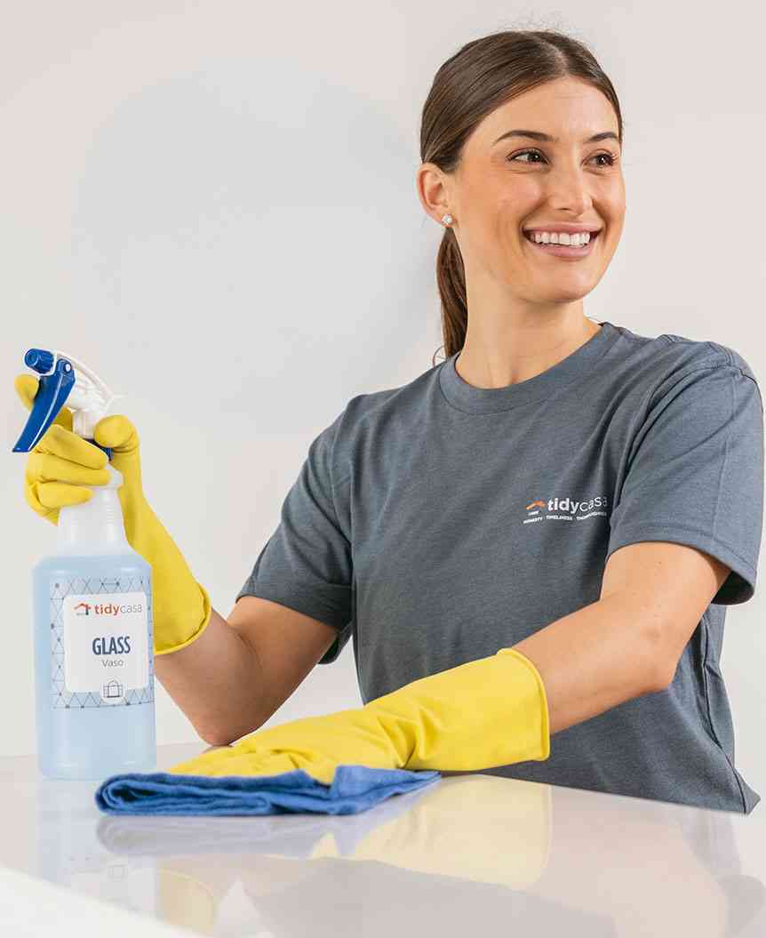 Home cleaner wiping countertop